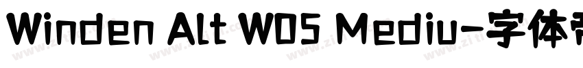 Winden Alt W05 Mediu字体转换